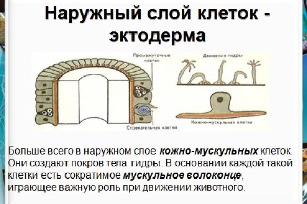 Ссылки на сайты даркнета